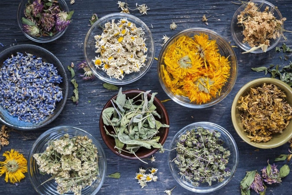 10+ Non-Marijuana Plants, Herbs And Shrooms That Contain Cannabinoids