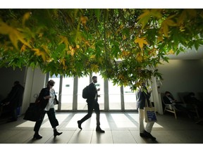 GLASGOW, SCOTLAND - NOVEMBER 04: Delegates walk through the main concourse past an autumnal tree during Energy Day at the COP26 climate summit at the SEC on November 04, 2021 in Glasgow, Scotland. Today COP26 will focus on accelerating the global transition to clean energy. The 2021 climate summit in Glasgow is the 26th "Conference of the Parties" and represents a gathering of all the countries signed on to the U.N. Framework Convention on Climate Change and the Paris Climate Agreement. The aim of this year's conference is to commit countries to net zero carbon emissions by 2050.
