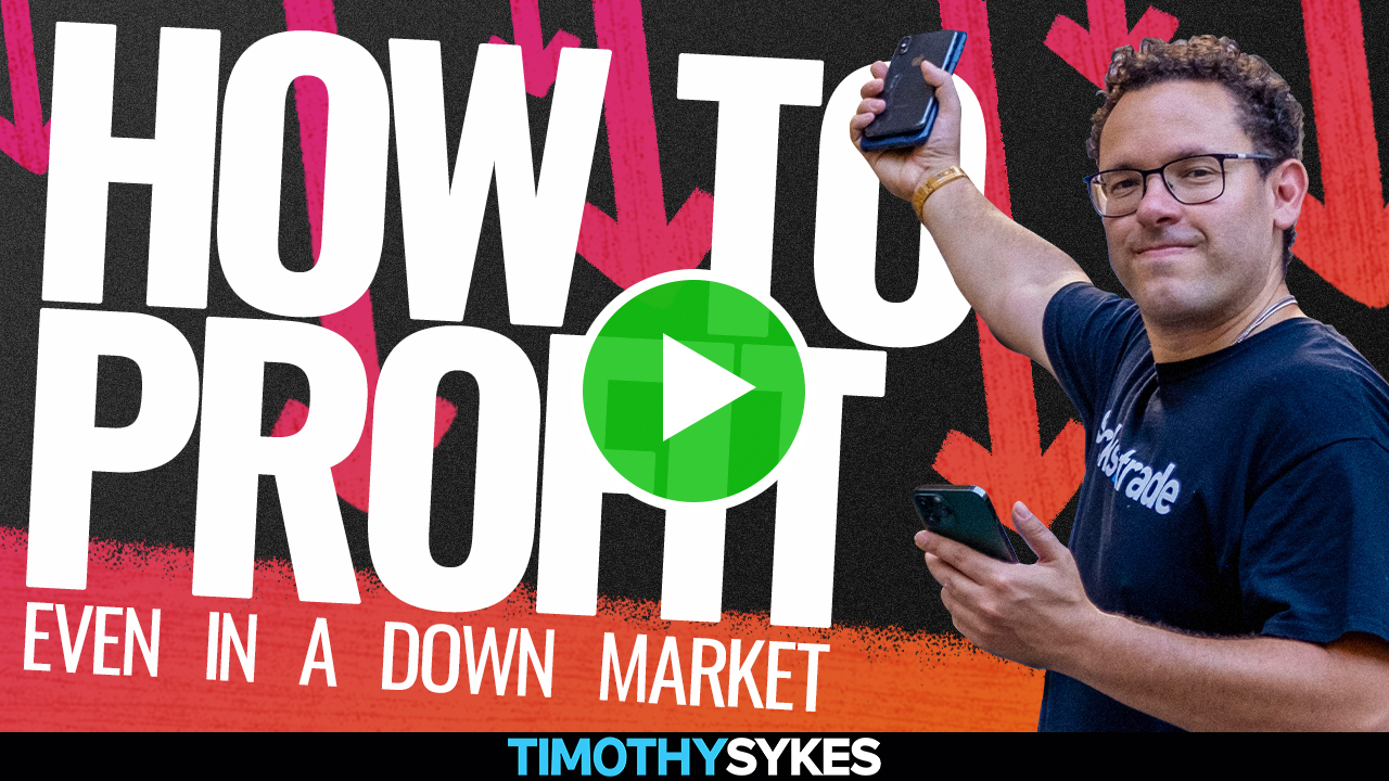 How To Profit Even In A Down Market {VIDEO}