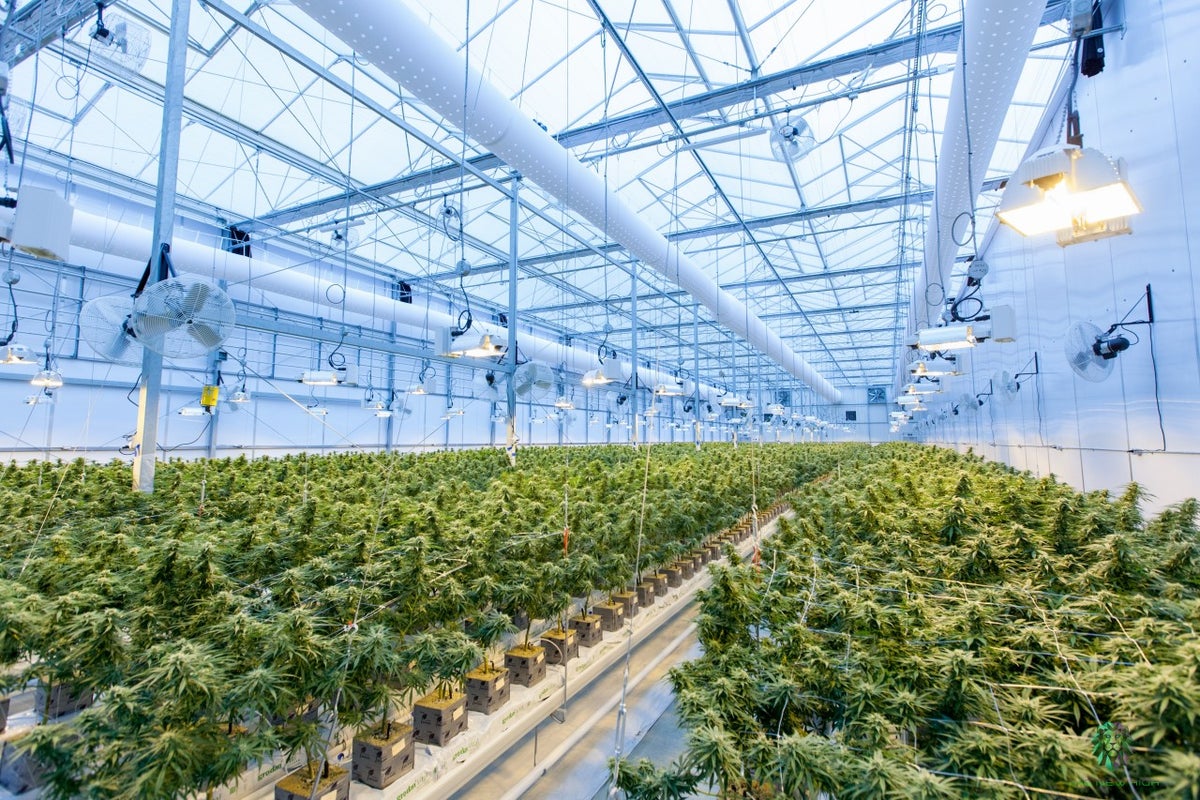 Hero Technologies (OTC:HENC) – Cannabis Company Hero Technologies Pursues Land Acquisition In Michigan