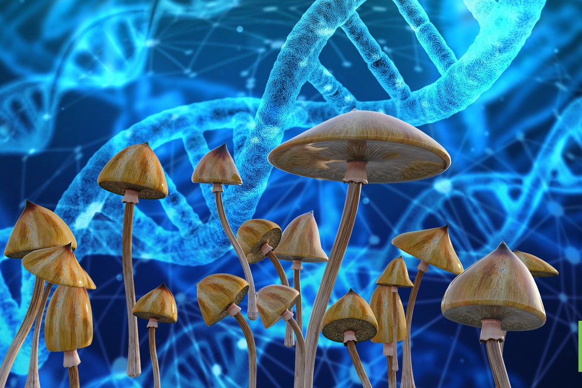 Magic Mushrooms For Anorexia? Clinical Study Receives FDA Approval For Phase 2 Trial