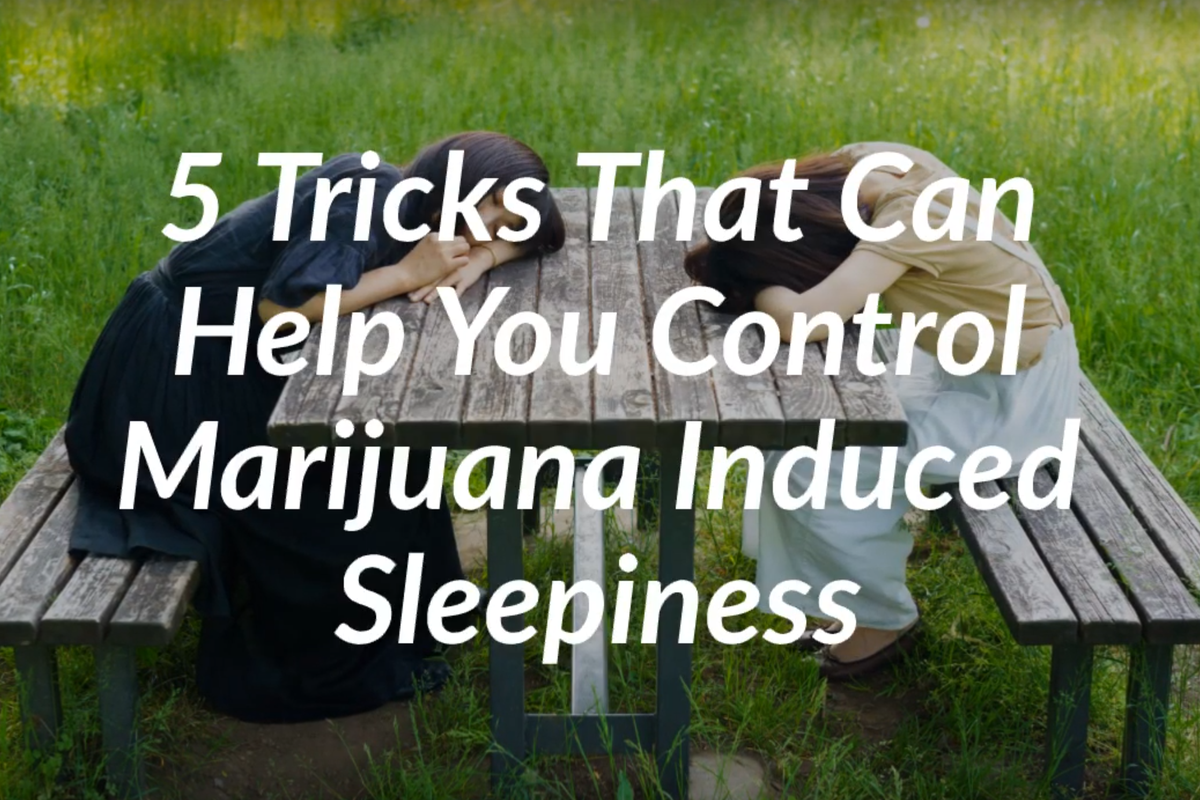Weed Makes You Tired? Here Are 5 Tricks To Help You Control Marijuana-Induced Sleepiness