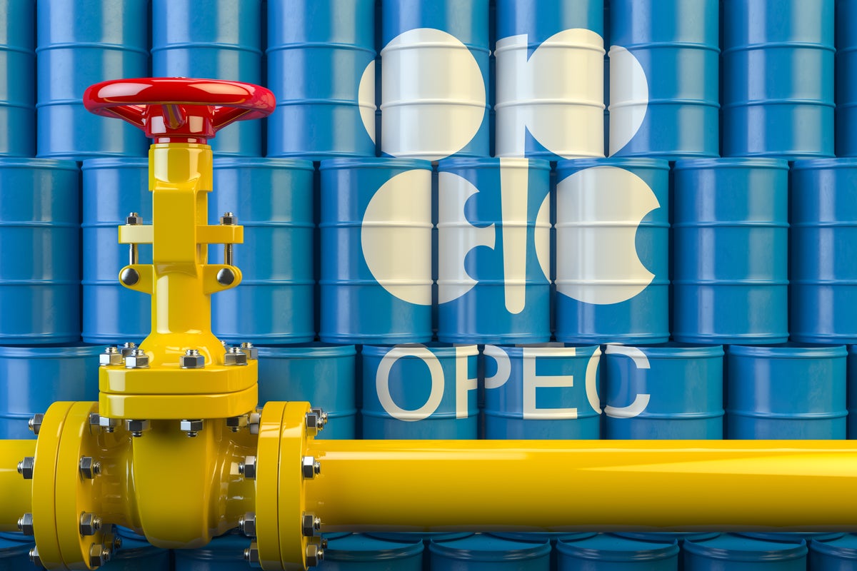 Saudia Arabia Says Team Biden Asked OPEC+ To Delay Output Decision By A Month, But It Would've Had 'Negative Consequences' - United States Brent Oil Fund, LP ETV (ARCA:BNO), Vanguard Energy ETF (ARCA:VDE)