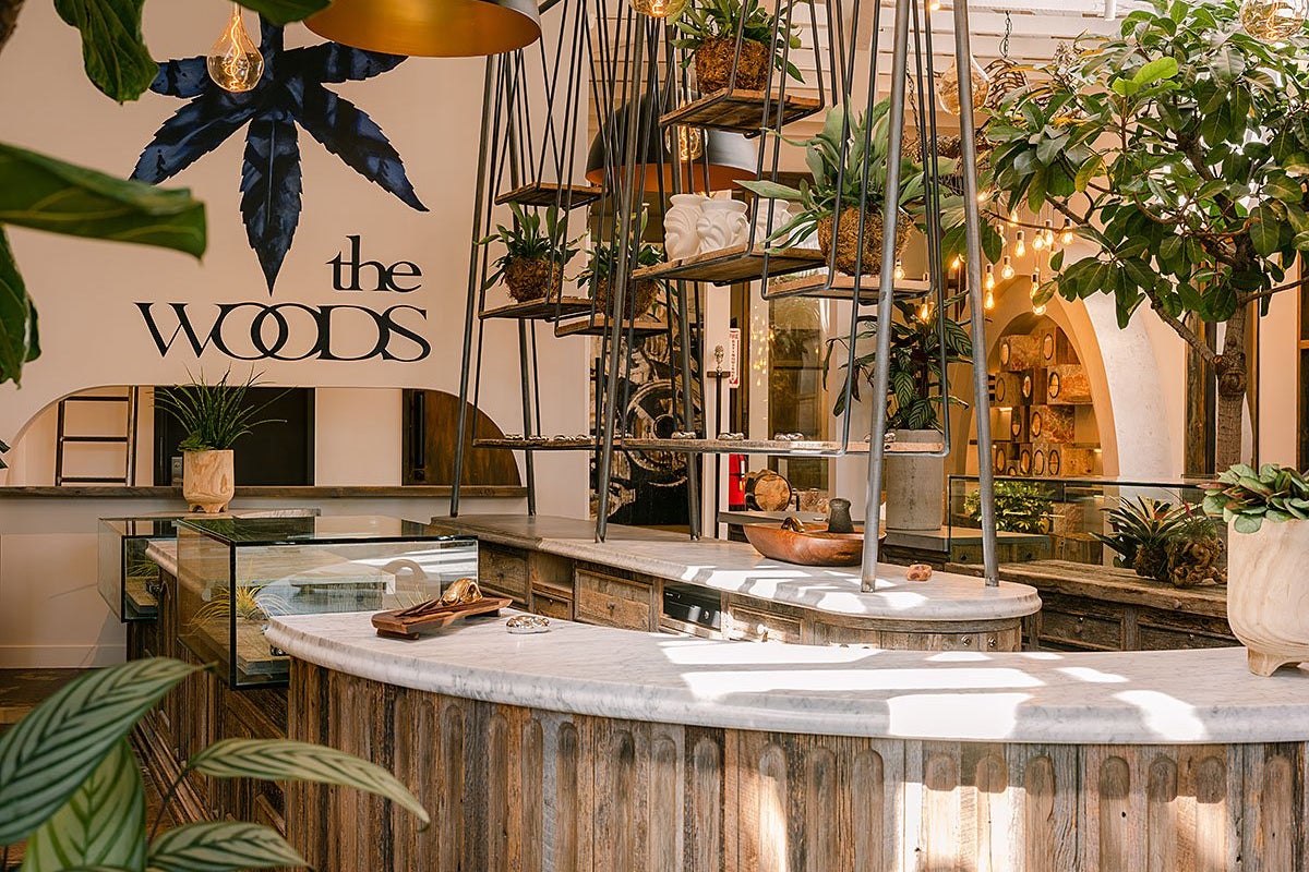 The Woods: Woody Harrelson And Bill Maher Open New Cannabis Lounge In West Hollywood