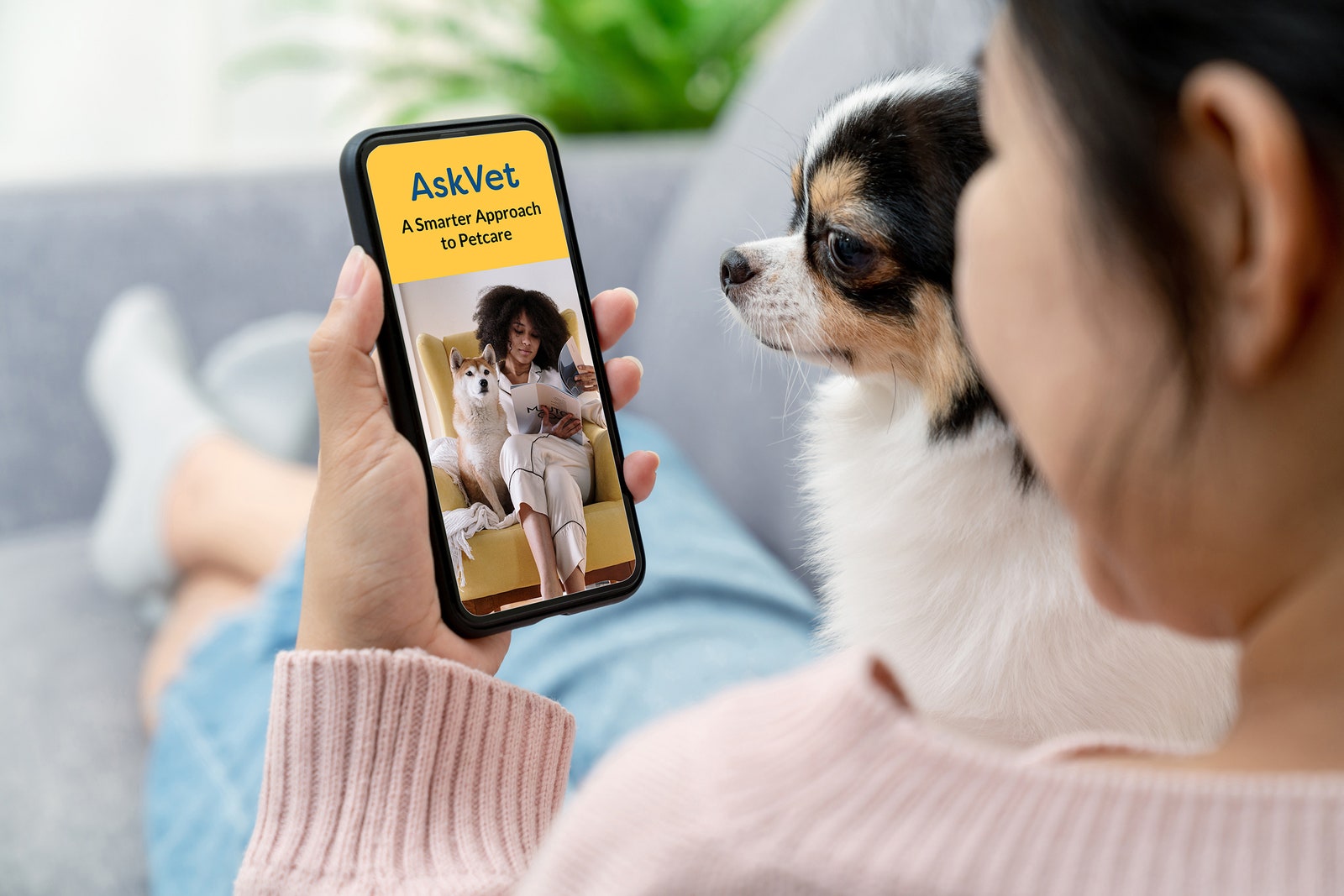 women with dog looking at Ask Vet app on mobile phone