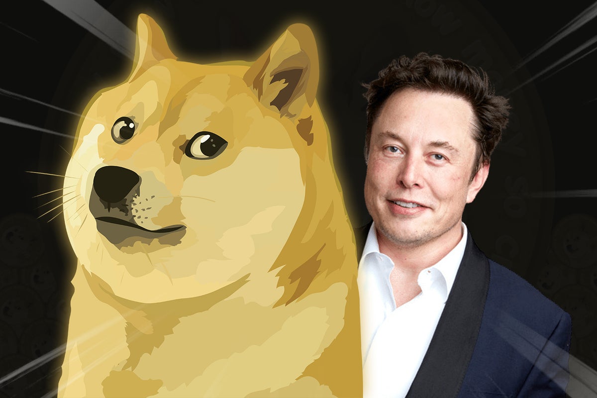 Is The Dogecoin Slump Just A 'Blip' Before A Rally? Here's What Experts Say - Bitcoin (BTC/USD), Dogecoin (DOGE/USD)