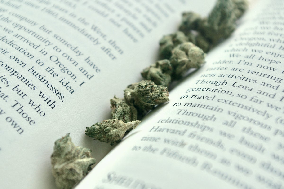 A Dictionary Of Weed Slang: Leafly's Leafy Lexicon