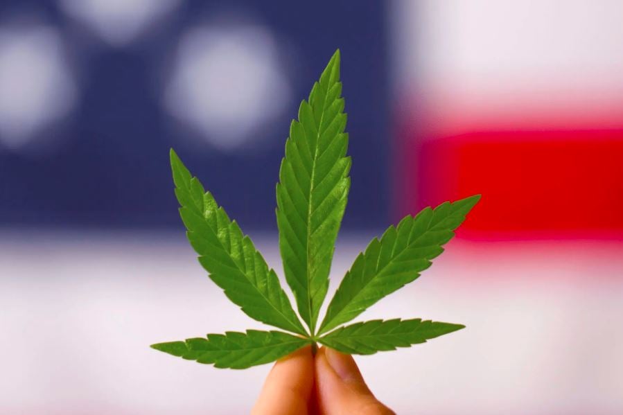 Maryland Voters Approve Cannabis Legalization By A Wide Margin