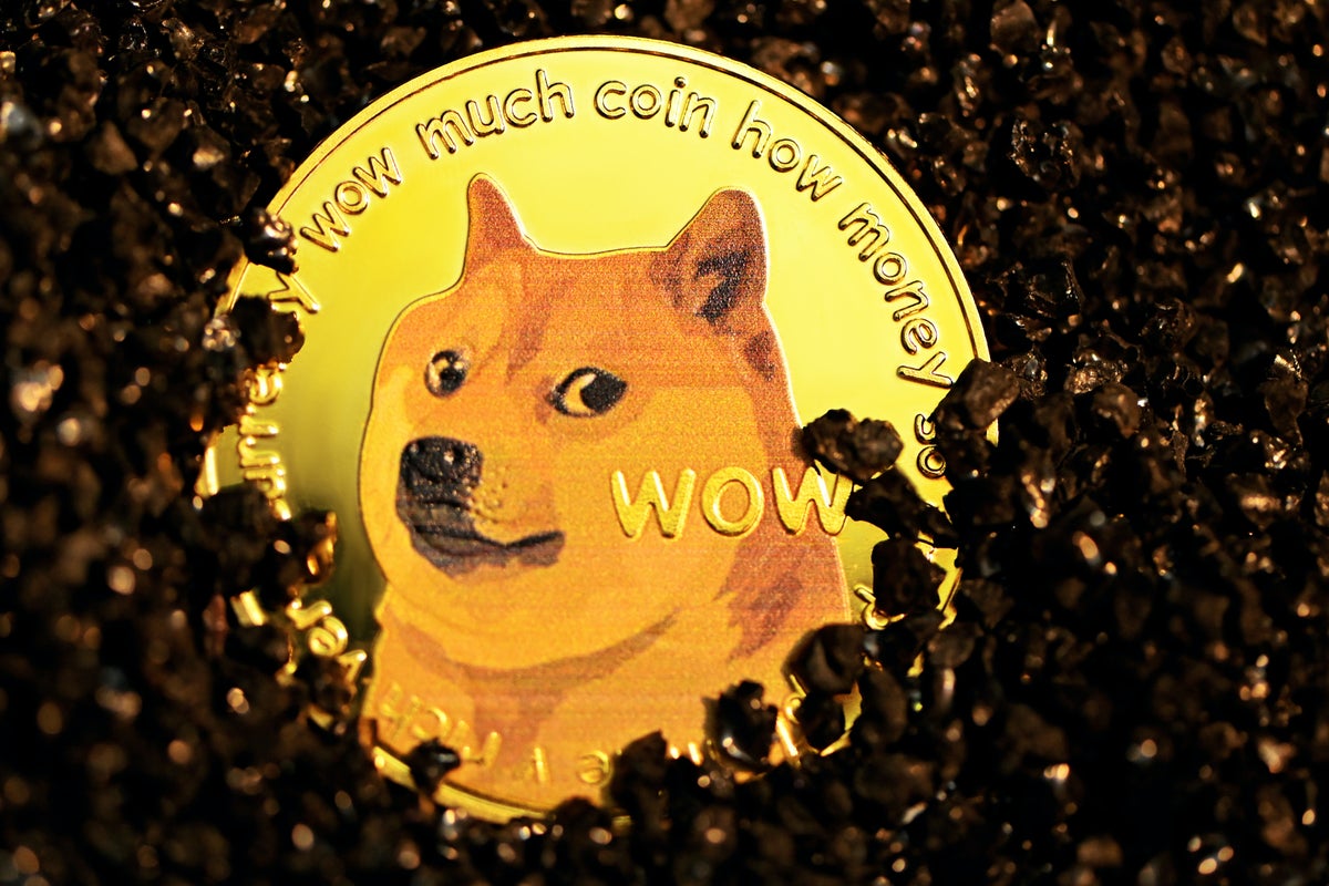 5 Things You Might Not Know About Kabosu, The Good Boy That Inspired Dogecoin And Shiba Inu - Dogecoin (DOGE/USD)