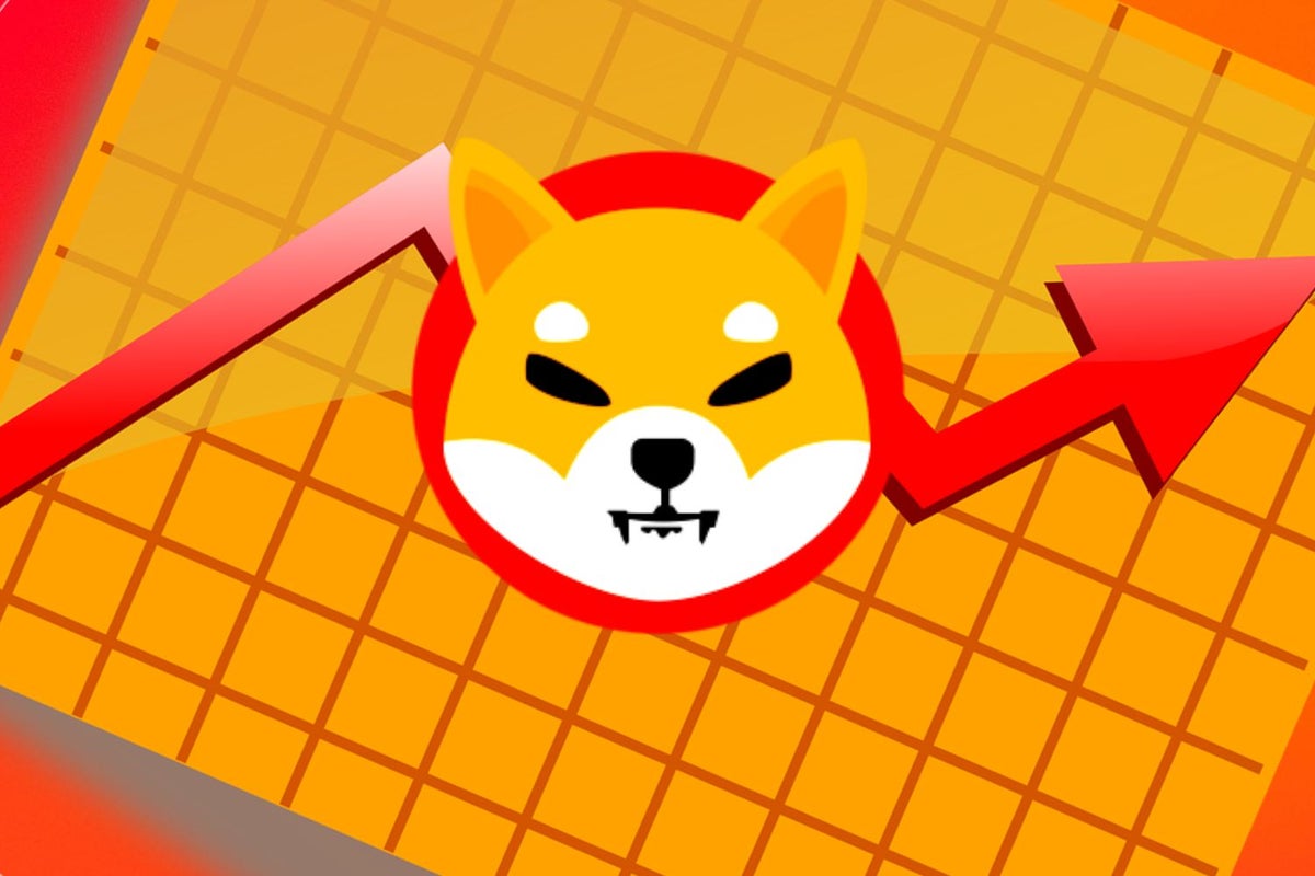 'Dogecoin Killer' Shiba Inu Steadies After Increasing Volatility: A Look At The Trading Patterns - SHIBA INU (SHIB/USD)