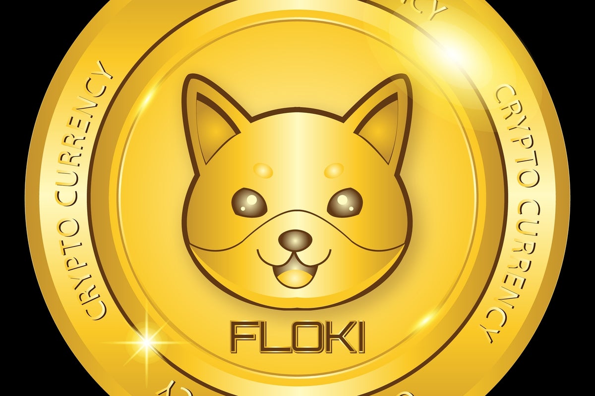 Floki Inu (FLOKI) Surges 11% Even As Dogecoin (DOGE), Shiba Inu (SHIB) Slide - SHIBA INU (SHIB/USD), Dogecoin (DOGE/USD)