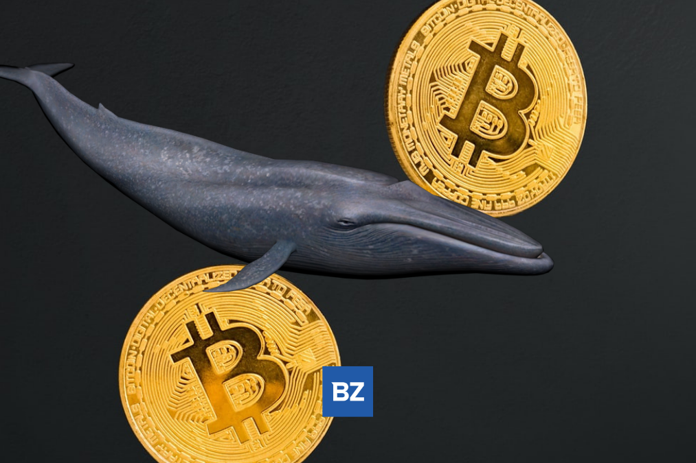 Anonymous Crypto Wallet Moves $145M Worth Of Bitcoin - Bitcoin (BTC/USD)