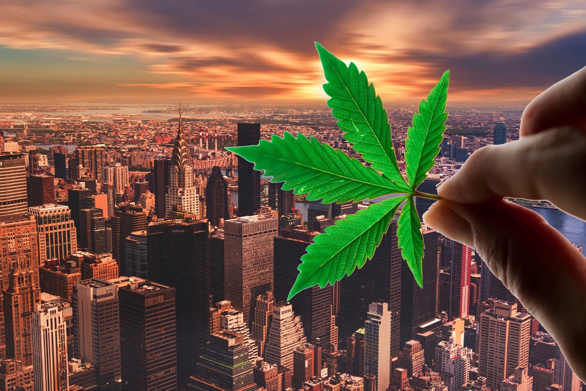 New York On Track To Become Next Cannabis Capital, But This State Sen. Warns Not To Imitate California - Acreage Holdings (OTC:ACRDF), Columbia Care (OTC:CCHWF)