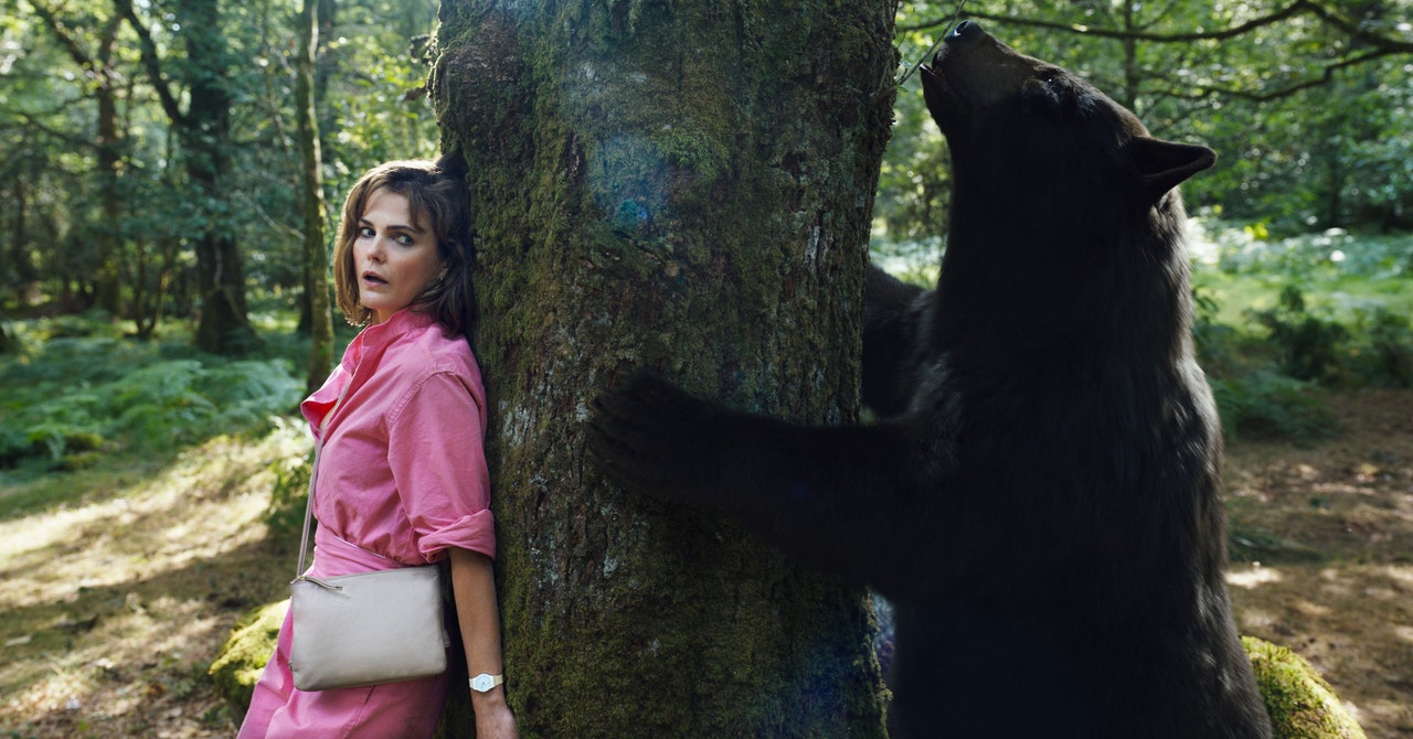 'Cocaine Bear' and the New Age of Internet Movies