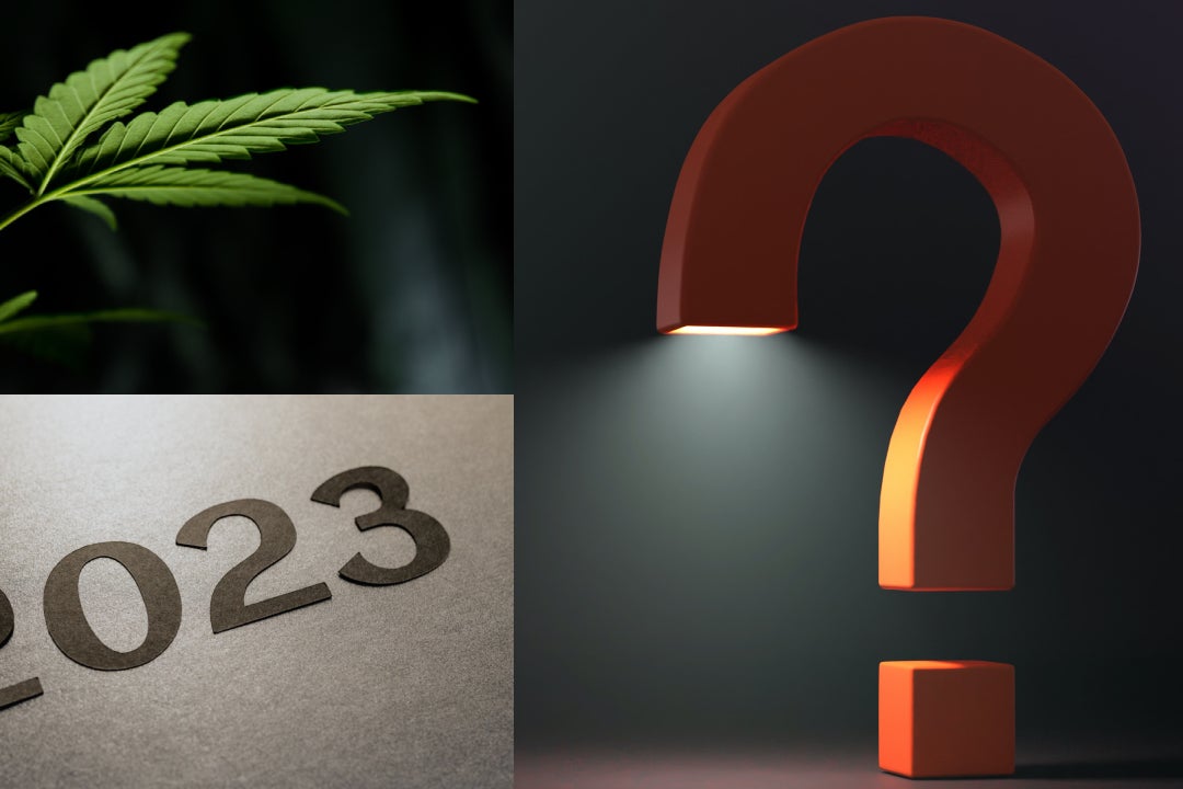 What Will Happen With Cannabis In 2023? Industry Experts Debate Exclusively On Benzinga