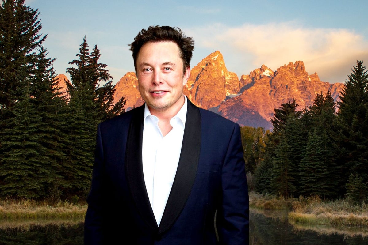 Taking On Elon Musk: This State Legislature Could Ban Electric Vehicle Sales By 2035