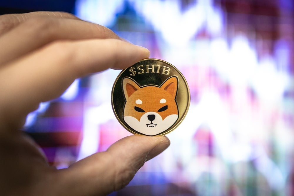 Shiba Inu Edges Out LTC As 13th Biggest Crypto With 19% Surge