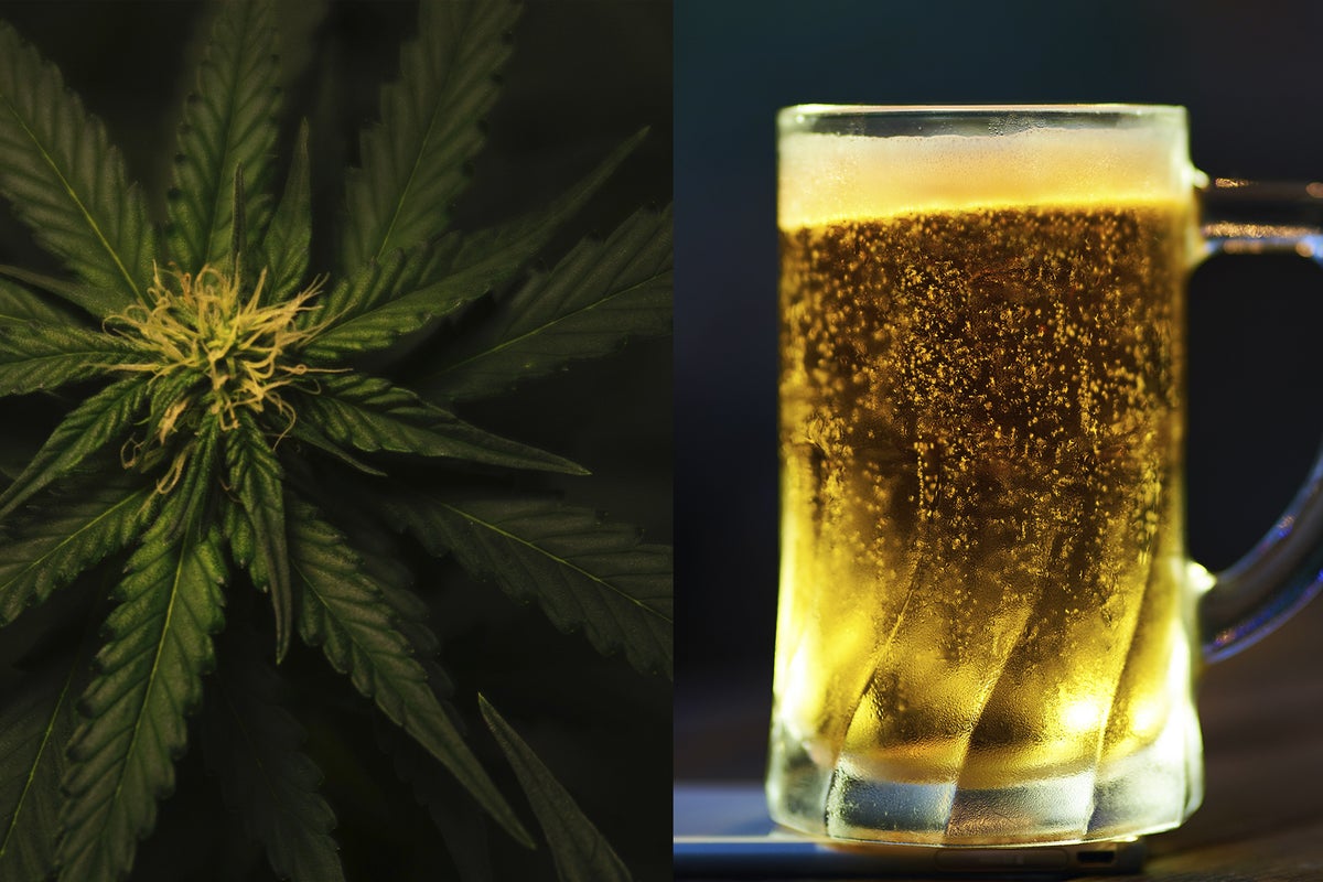 Recreational Cannabis Legalization Correlated With Decrease In Alcohol Use Disorder, New Study Finds