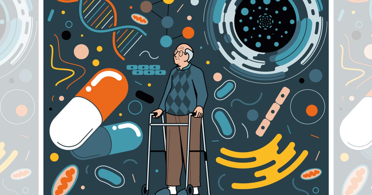 A Drug to Treat Aging May Not Be a Pipe Dream