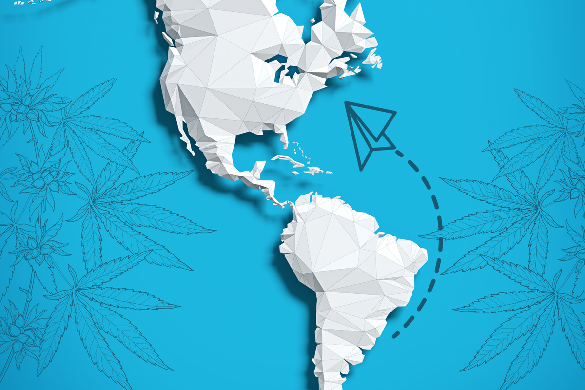 1,000 Pounds Of Legal Cannabis Shipped From Uruguay To The US: Is This A New Record?