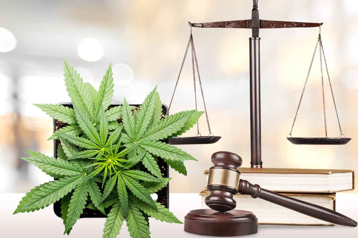 New Hampshire Cannabis Legalization, MMJ In GA, Paraphernalia In ME, WA, Hawaii And More