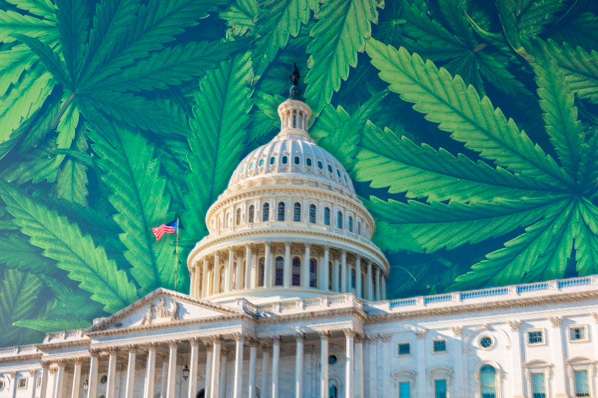 CA Cannabis Equity Grant, MMJ Bill In NH, Marijuana Bills In Nebraska, MA MMJ Policies, Weed Testing Labs In Vermont