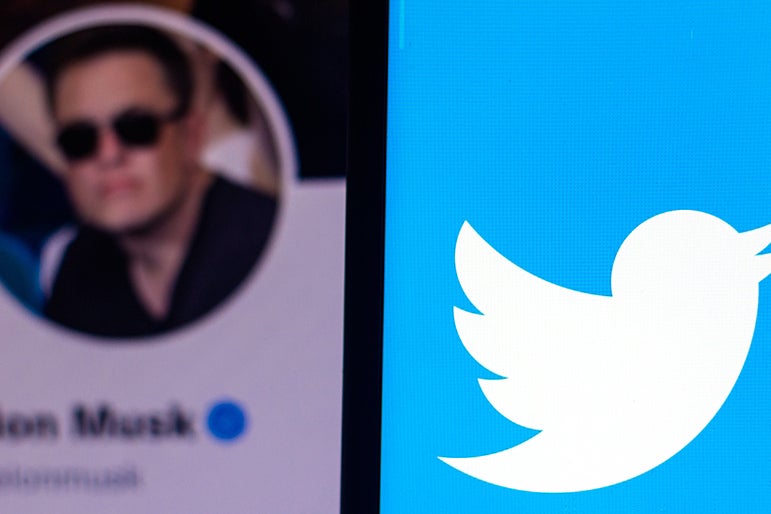 Elon Musk-first Timelines Are Overwhelming Twitter Users