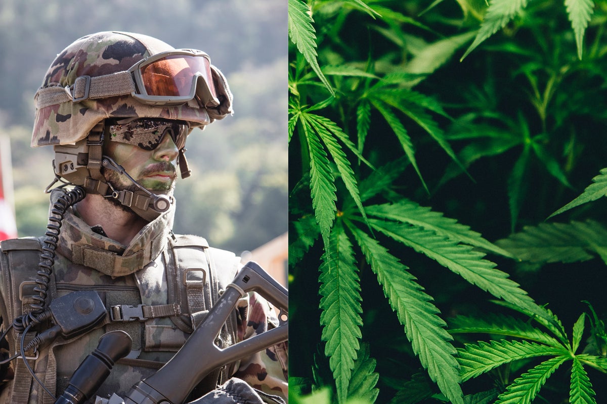 Marijuana Use In The Military: What Do Drug Test Results Show?